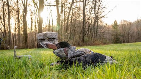 Image result for Alien Astronaut Costume