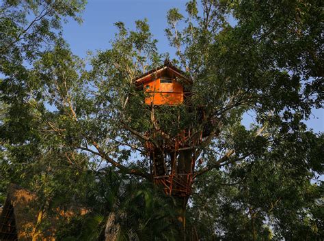 India Treehouse Holiday Rentals | Airbnb