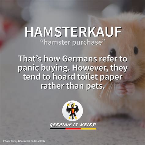 Hamsterkauf - German is Weird - Funny German words