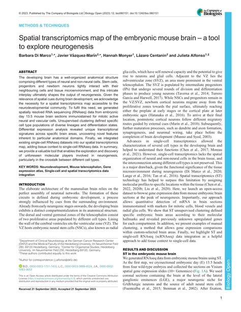 Spatial Transcriptome Mouse Embryo Development 的图像结果
