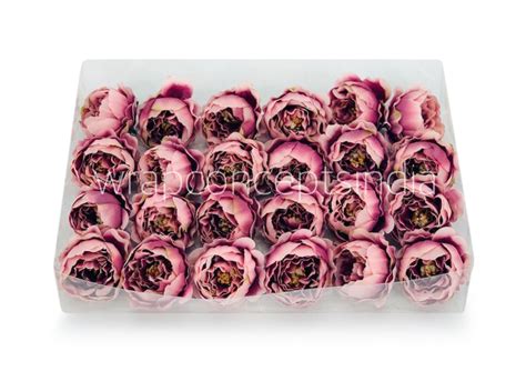 Blush with Burgundy Peony Flower Heads (24 Pcs) – Artificial Flowers ...