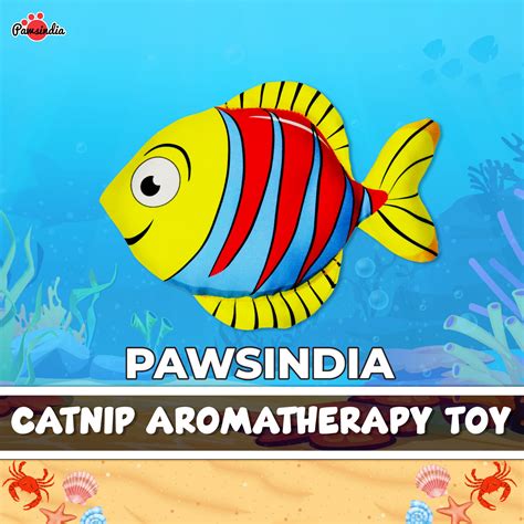 Pawsindia Catnip Aromatherapy Fish Toy | Buy Cat Toys Online | Pawsindia