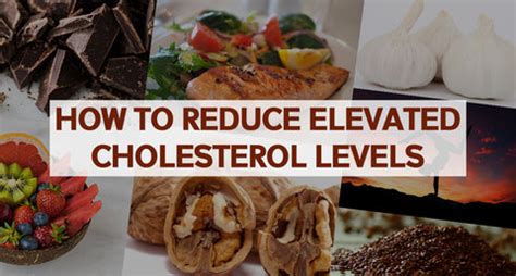 HOW TO REDUCE ELEVATED CHOLESTEROL LEVELS – Steadfast Nutrition