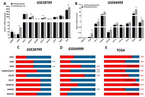 Metabolic Plasticity in Ovarian Cancer Stem Cells