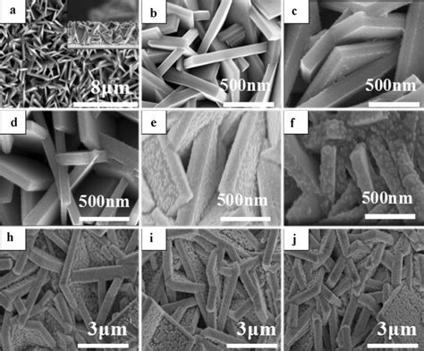 Image result for TiO2 Pfotes Sebs