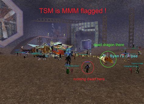 The Silent Minority :: The European Everquest Guild on the Rathe Server