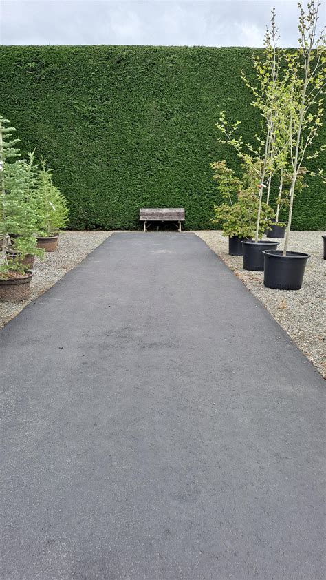 Picture taken at Portland Avenue Nursery, if you need garden decor or ...