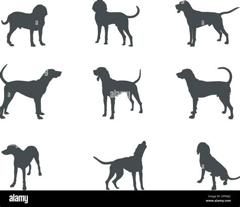 American English coonhound dog silhouettes, American English coonhound ...