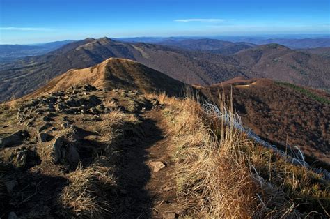 Poland 的图像结果