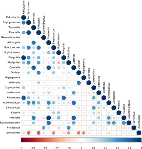Group B Streptococcus colonization induces Prevotella and Megasphaera ...