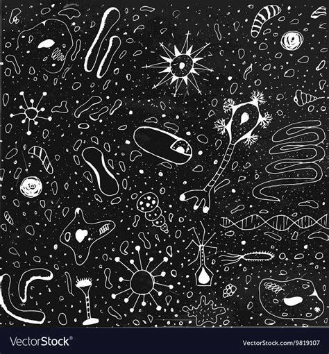 Background for Biology 的图像结果