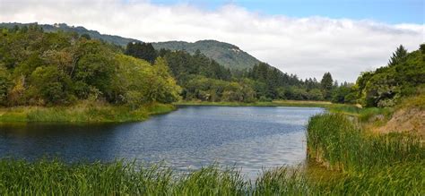 Grandmother Redwood and Fern Lake: Imaginal and Natural History of Our ...