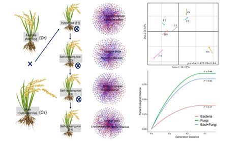 Self-Crossing Leads to Weak Co-Variation of the Bacterial and Fungal ...