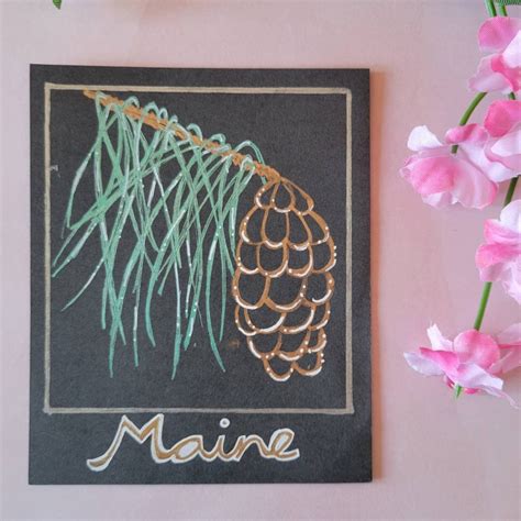 Maine State Flower: White Pine Cone and Tassel, Flowers With Meaning ...
