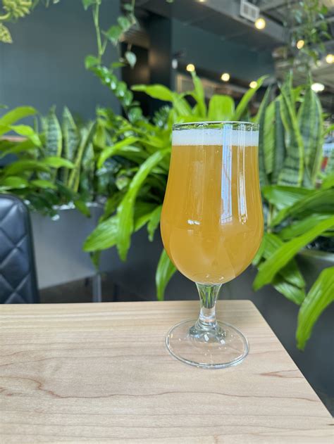 Our Beer — Wandering Leaf Brewing Co.