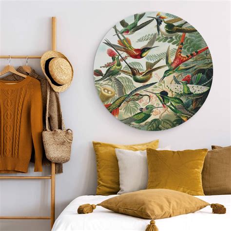 Alu-Dibond Wall Circle Haeckel - Hummingbirds | wall-art.com