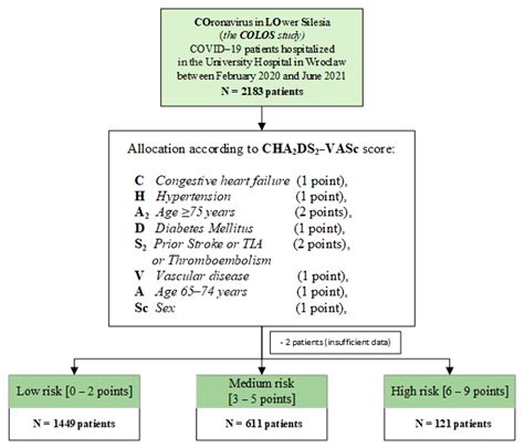 Usefulness of the CHA2DS2-VASc Score in Predicting the Outcome in ...