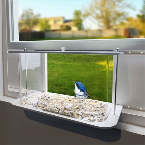 Amazon.com : VIROTEE Window Bird Feeder Inside House for Viewing, Clear ...