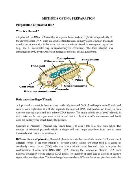 DNA Library Prep Protocol 的图像结果
