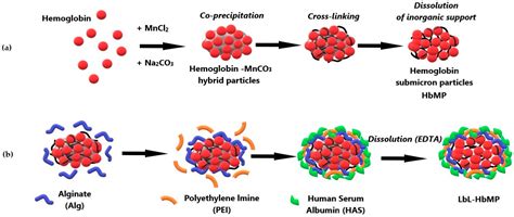 Redox Potential of Hemoglobin Sub-Micron Particles and Impact of Layer ...