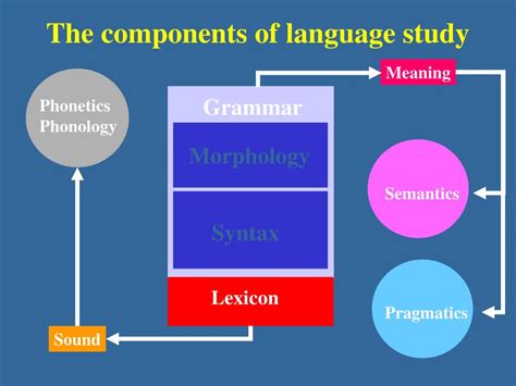 Image result for Lexical Semantics Examples