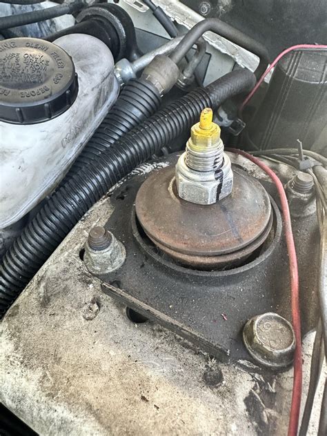 Image result for Installing Struts