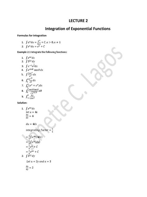 Integration of Exponential Function 的图像结果