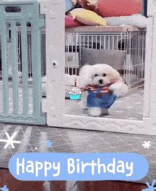 Happy Birthday GIF - Happy Birthday - Discover & Share GIFs