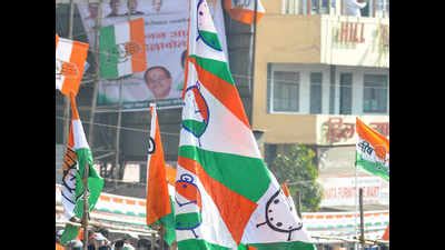 VBA damaged Congress-NCP chances on 14 Vidarbha seats | Nagpur News ...