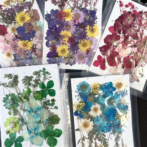 Pressed Flowers – The Krafty Kart