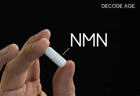Everything About NMN: Benefits, Safety, and Side Effects