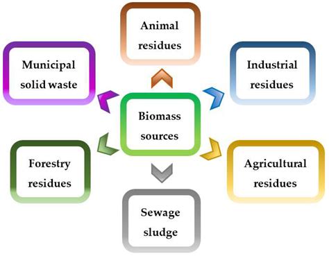 Potential Use of Industrial Biomass Waste as a Sustainable Energy ...