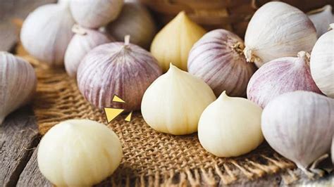 manfaat bawang putih tunggal untuk ibu hamil