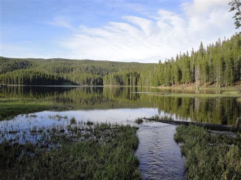 THE BEST Restaurants in Wyoming (Updated May 2026) - Tripadvisor