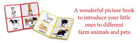 Farm Animals & Pets – Early Learning Board Book with Large Font ...