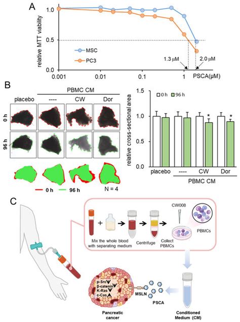Exploring the Tumor-Suppressing Potential of PSCA in Pancreatic Ductal ...