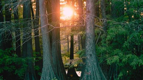 Image result for Good Example Song