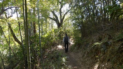 Image result for Simple Example of Iteration