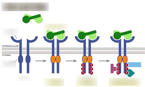 Image result for RTK Structure