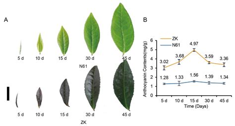 Integrative Analysis of Metabolomics and Transcriptomics Reveals ...