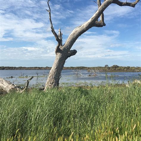 GRASSFLAT SWAMP FLORA AND FAUNA RESERVE (2026) All You Need to Know ...