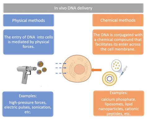 Plasmid DNA for Therapeutic Applications in Cancer