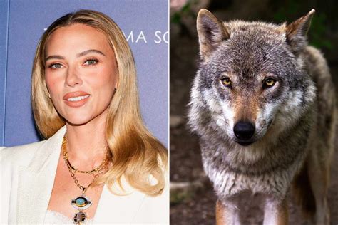 Scarlett Sommers Exclusive Porn Videos