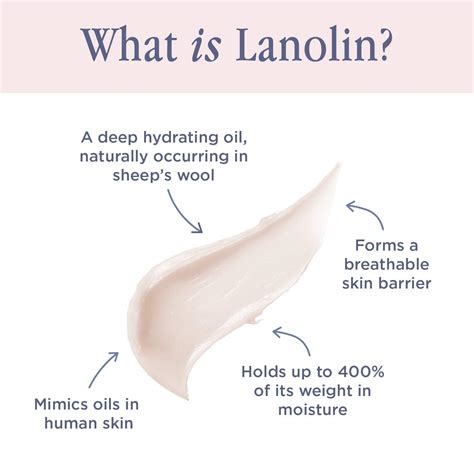 Lanolips Face Base Lanolin + Vitamin E Day Cream - Nourishing ...