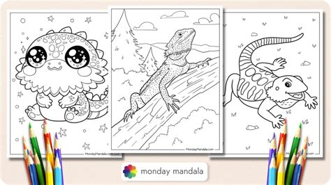 Cartoon Coloring Pages 的图像结果