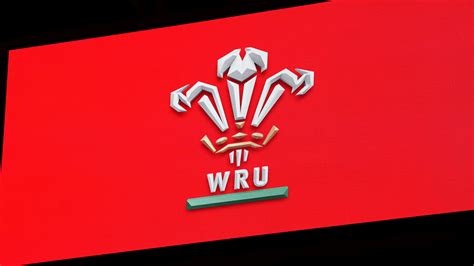 Cardiff Rugby: WRU quickly moves to 'pull a rescue package together' to ...