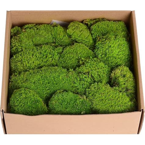 Christmas Decorations Sale Clearance Prefleur 5 Color Mix Pack ...