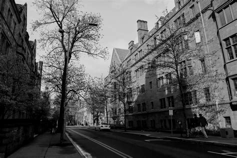 GPA Requirements at Cornell : Admissionado