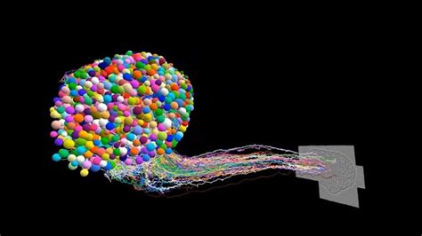 Image result for Neuron Project with Thread