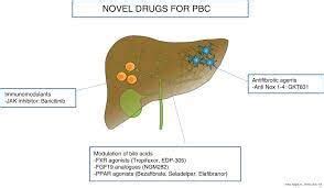 Seladelpar significantly improves liver biochemistry and pruritus in ...